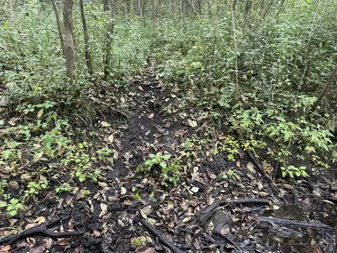00 Washburn, Update, MI 48438 photo 27