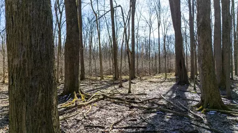Vl Doster Road, Plainwell, MI 49080 photo 20