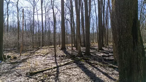 Vl Doster Road, Plainwell, MI 49080 photo 22
