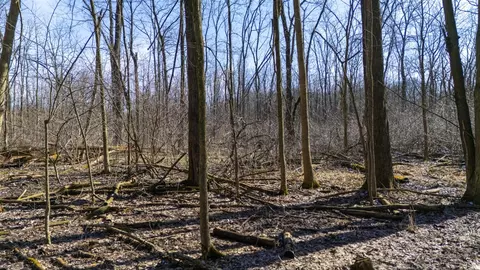 Vl Doster Road, Plainwell, MI 49080 photo 21