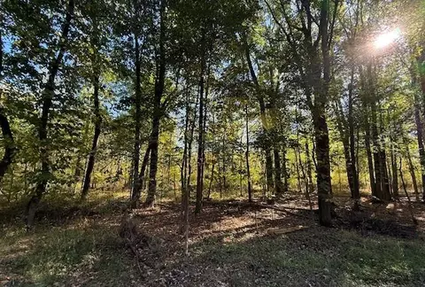 Vl Doster Road, Plainwell, MI 49080 photo 2