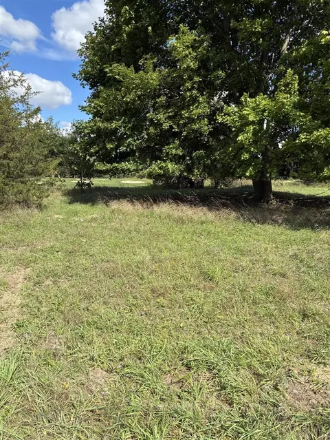 W Ellis, Belding, MI 48809 photo 3