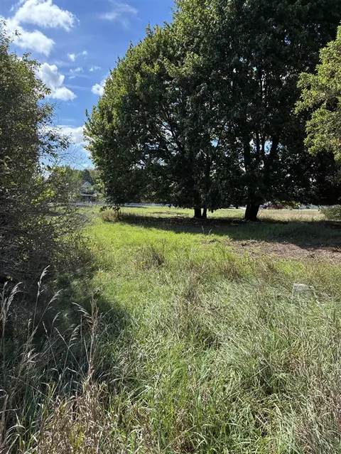 W Ellis, Belding, MI 48809 photo 4
