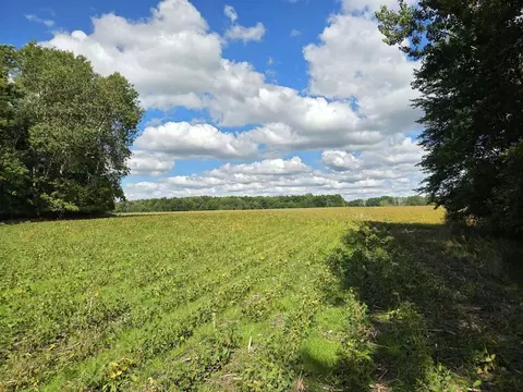 2151 16 Mile, Cedar Springs, MI 49319
