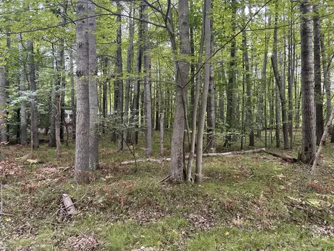 8228 Tanglewood, Stanwood, MI 49346