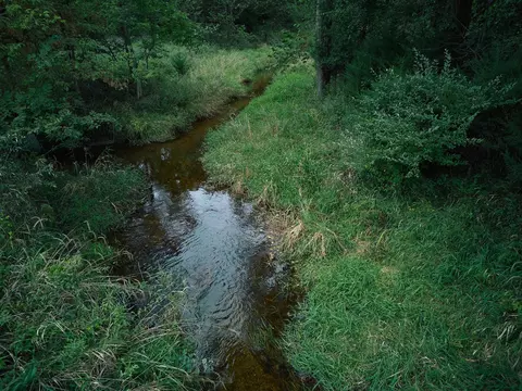 Herl, Bronson, MI 49028 photo 6