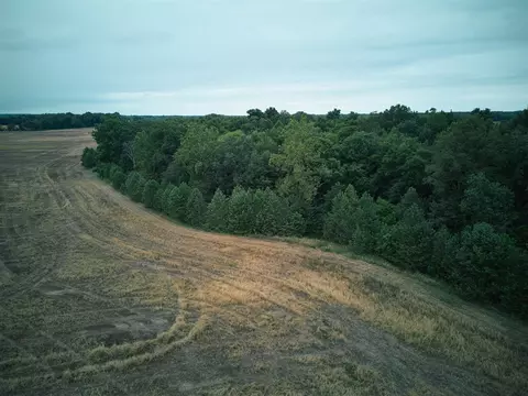 Herl, Bronson, MI 49028 photo 21
