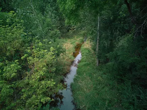 Herl, Bronson, MI 49028 photo 12