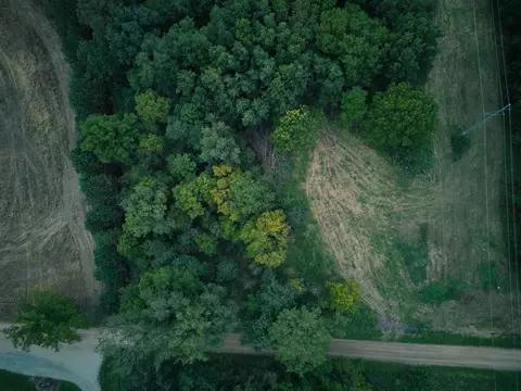 Herl, Bronson, MI 49028 photo 3