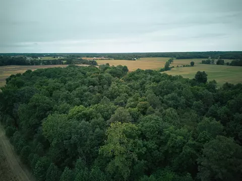 Herl, Bronson, MI 49028 photo 20