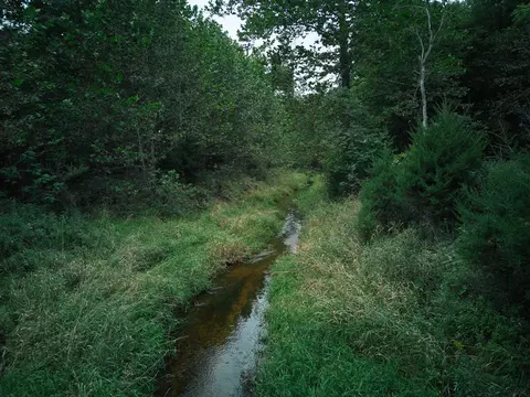Herl, Bronson, MI 49028 photo 7