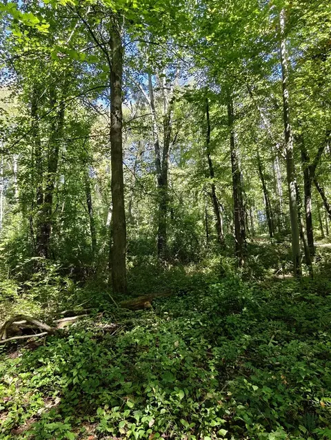 5000 Stone Oak #BLOCK, Jackson, MI 49201 photo 2