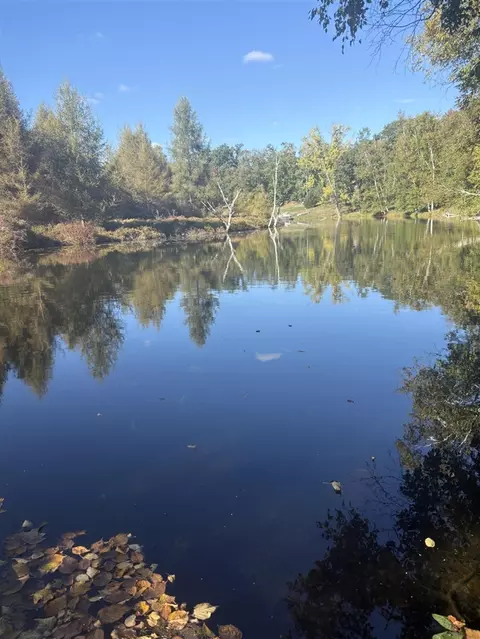 9025 Boggie, Canadian Lakes, MI 49346