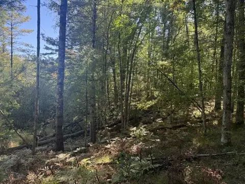 Vl Bagnall, Baldwin, MI 49304 photo 6