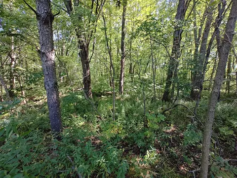 Vl 72nd St, Covert, MI 49043 photo 20