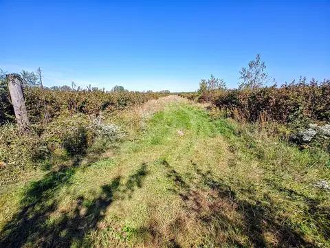 Vl 72nd St, Covert, MI 49043 photo 5