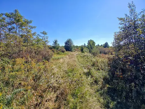 Vl 72nd St, Covert, MI 49043 photo 17