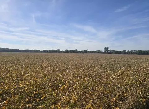 Marshall, Coldwater, MI 49036