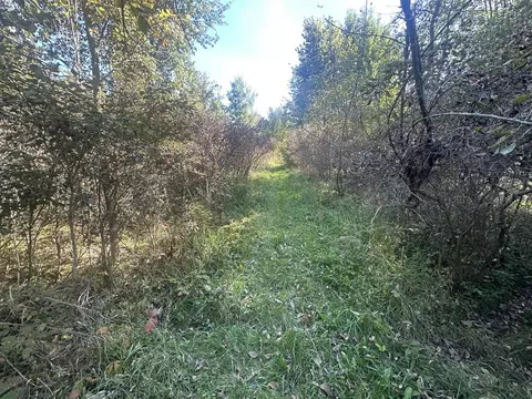 Vl 20 Mile, Marshall, MI 49068