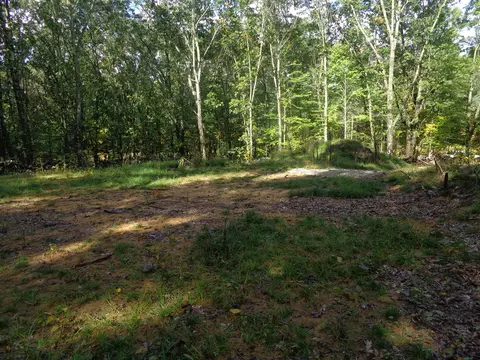 Parcel A 109th, Pullman, MI 49450 photo 5