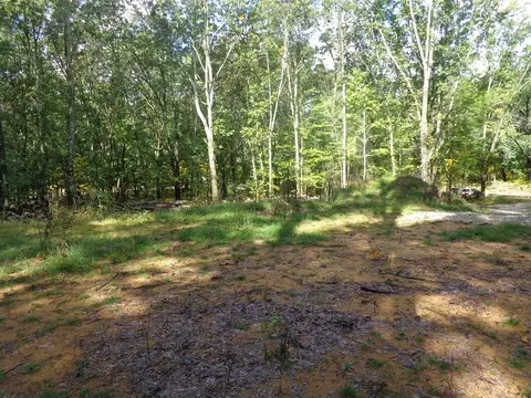 Parcel A 109th, Pullman, MI 49450 photo 8