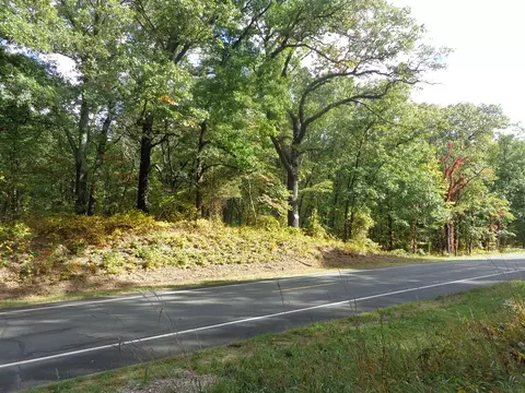 Parcel A 109th, Pullman, MI 49450 photo 9
