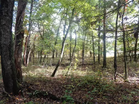 Parcel B 109th, Pullman, MI 49450 photo 6