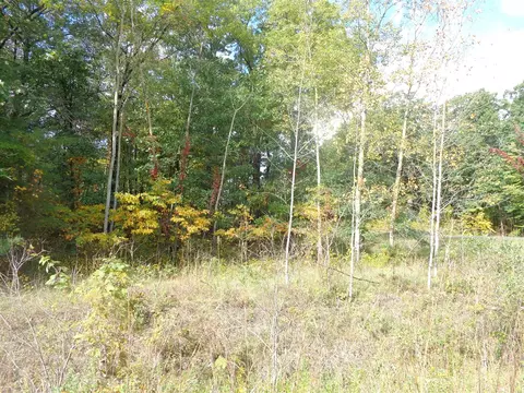 Parcel B 109th, Pullman, MI 49450 photo 4