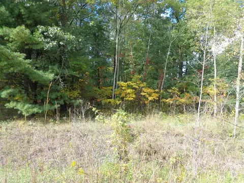 Parcel B 109th, Pullman, MI 49450 photo 2