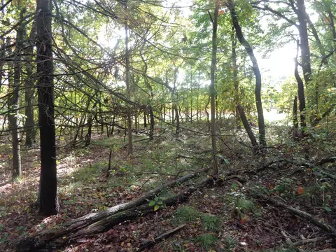 Parcel B 109th, Pullman, MI 49450 photo 7