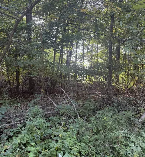 Doster, Plainwell, MI 49080