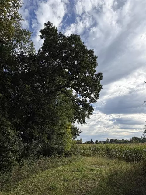 N Bray, Clio, MI 48420 photo 46