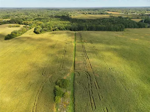 N Bray, Clio, MI 48420 photo 8