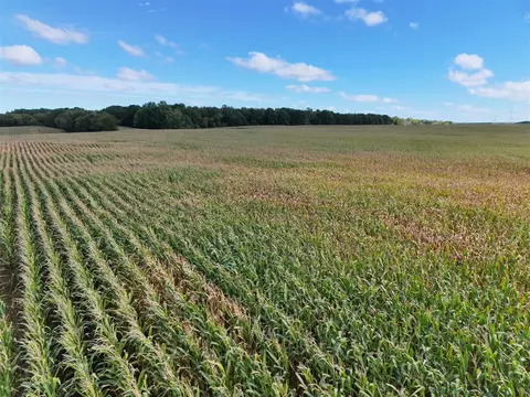 N Bray, Clio, MI 48420 photo 13