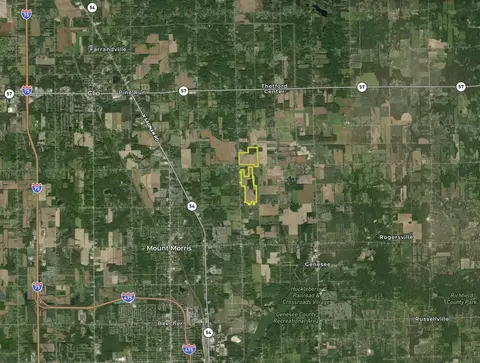 N Bray, Clio, MI 48420 photo 48