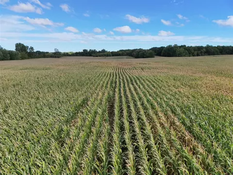 N Bray, Clio, MI 48420 photo 12