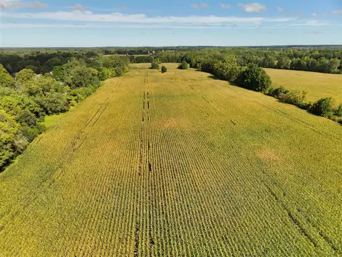 N Bray, Clio, MI 48420 photo 5