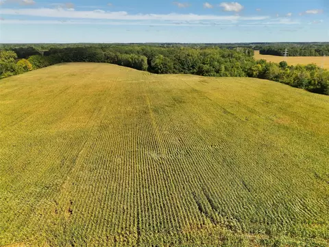 N Bray, Clio, MI 48420 photo 2