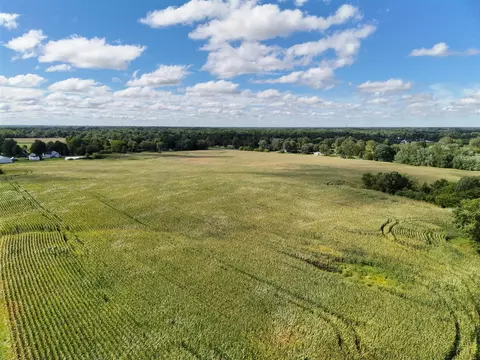 N Bray, Clio, MI 48420 photo 22