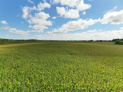 N Bray, Clio, MI 48420 photo 16