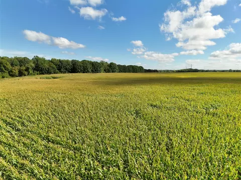 N Bray, Clio, MI 48420 photo 15
