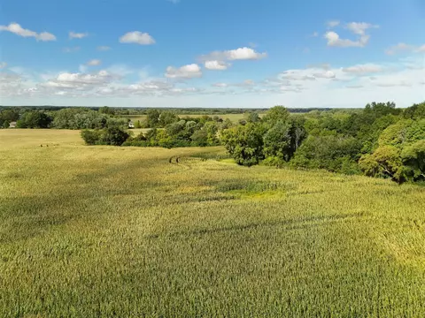 N Bray, Clio, MI 48420 photo 21