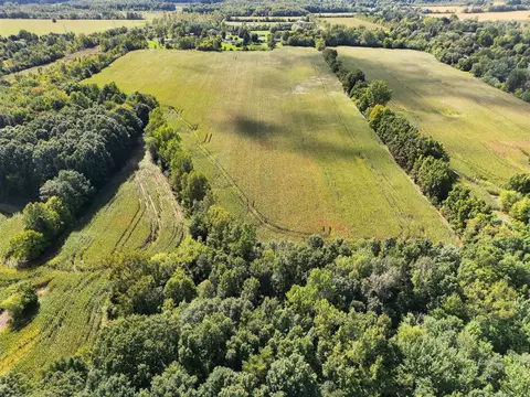 N Bray, Clio, MI 48420 photo 29