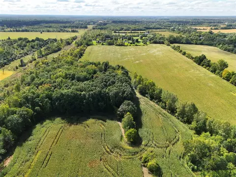 N Bray, Clio, MI 48420 photo 31