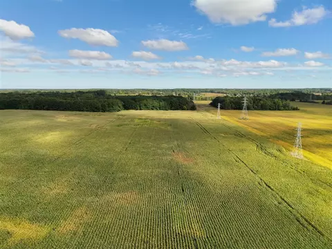 N Bray, Clio, MI 48420 photo 11