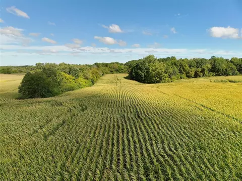 N Bray, Clio, MI 48420 photo 14
