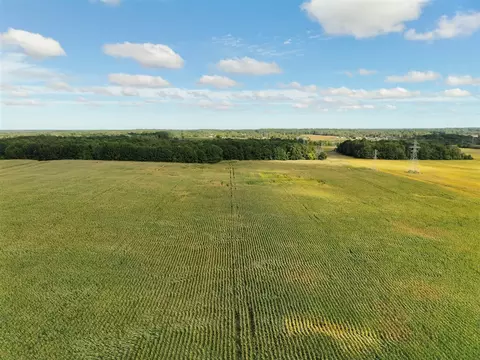 N Bray, Clio, MI 48420 photo 10