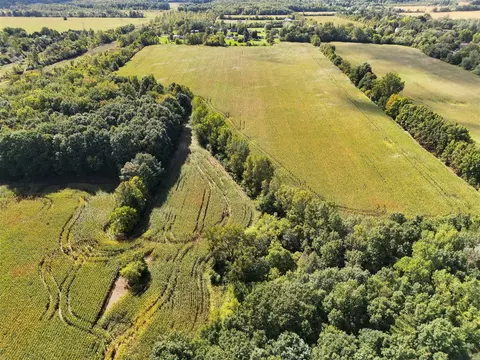 N Bray, Clio, MI 48420 photo 30