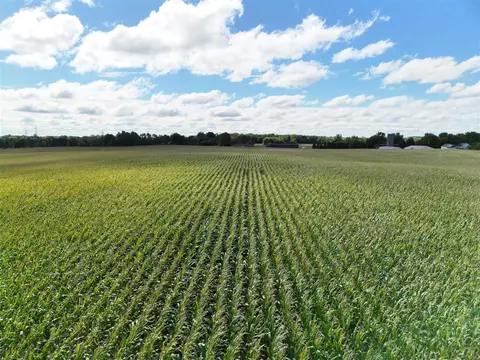N Bray, Clio, MI 48420 photo 25