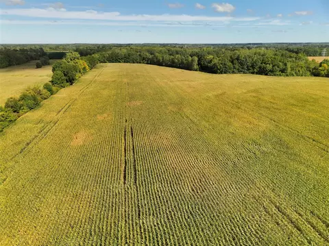 N Bray, Clio, MI 48420 photo 3